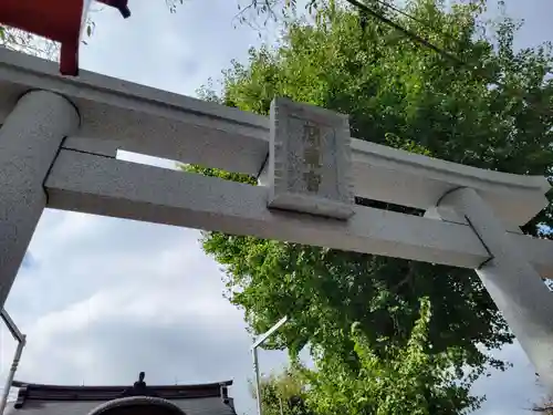 塚越稲荷神社の鳥居