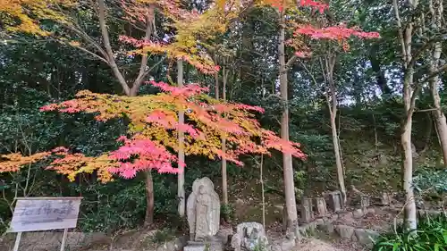 白毫寺(奈良県)