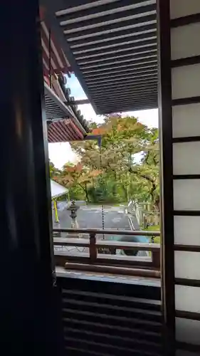 禅林寺（永観堂）(京都府)