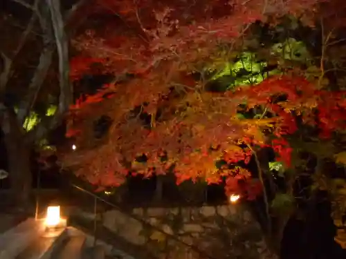 園城寺（三井寺）(滋賀県)