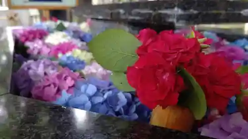 新琴似神社(北海道)