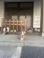 白金氷川神社の{uncategorized: "未分類", other: "その他", undefined: "問題あり", building: "その他建物", grave: "お墓", sacred_gate: "鳥居", guardian: "狛犬", statue: "像", buddha: "仏像", history: "歴史", nature: "自然", garden: "庭園", animal: "動物", pagoda: "塔", temizu: "手水舎", mountain_gate: "山門・神門", sanctuary: "本殿・本堂", subordinate: "末社・摂社", art: "芸術", scenery: "景色", jizo: "地蔵", ema: "絵馬", goshuin: "御朱印", omikuji: "おみくじ", items: "授与品その他", amulet: "お守り", goshuincho: "御朱印帳", eats: "食事", festival: "お祭り", votive_dance: "神楽", shichigosan: "七五三参", wedding: "結婚式", experience: "体験その他", initially: "初詣", around: "周辺", anti_infection: "感染症対策"}