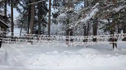 上川神社のおみくじ
