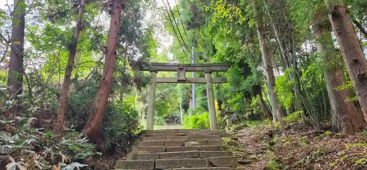 愛宕神社の鳥居