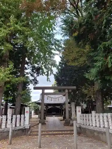 中村八幡神社の鳥居