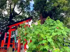 源九郎稲荷神社の自然