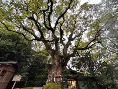 熱田神宮(愛知県)