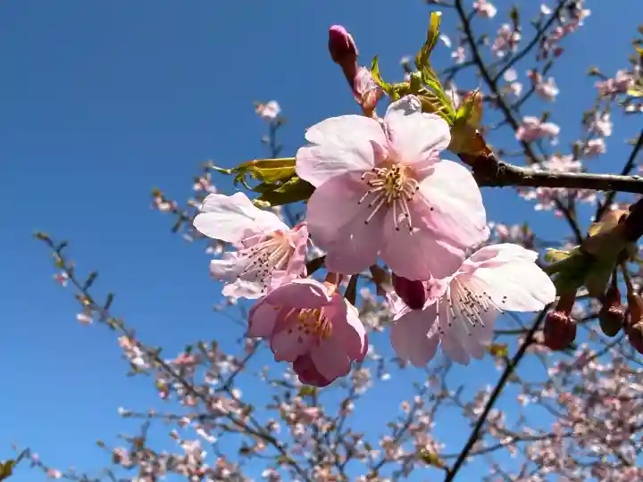 箕輪山満行院霊巖寺の{uncategorized: "未分類", other: "その他", undefined: "問題あり", building: "その他建物", grave: "お墓", sacred_gate: "鳥居", guardian: "狛犬", statue: "像", buddha: "仏像", history: "歴史", nature: "自然", garden: "庭園", animal: "動物", pagoda: "塔", temizu: "手水舎", mountain_gate: "山門・神門", sanctuary: "本殿・本堂", subordinate: "末社・摂社", art: "芸術", scenery: "景色", jizo: "地蔵", ema: "絵馬", goshuin: "御朱印", omikuji: "おみくじ", items: "授与品その他", amulet: "お守り", goshuincho: "御朱印帳", eats: "食事", festival: "お祭り", votive_dance: "神楽", shichigosan: "七五三参", wedding: "結婚式", experience: "体験その他", initially: "初詣", around: "周辺", anti_infection: "感染症対策"}