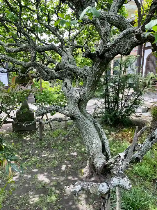 通校神社(神奈川県)