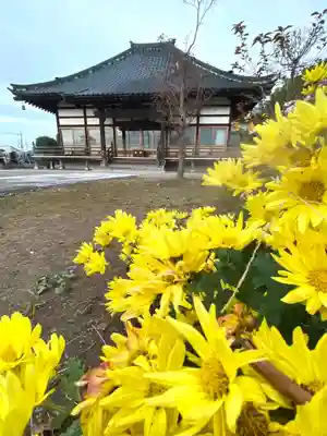 高輪寺の本殿・本堂