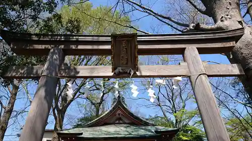 日吉神社の鳥居
