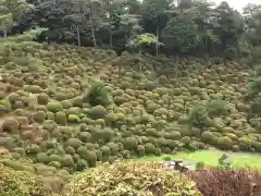 塩船観音寺の庭園