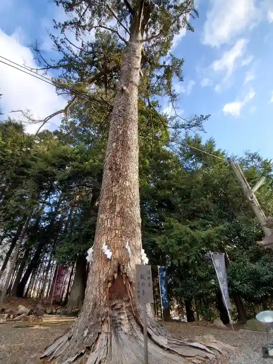 滑川神社 - 仕事と子どもの守り神の自然