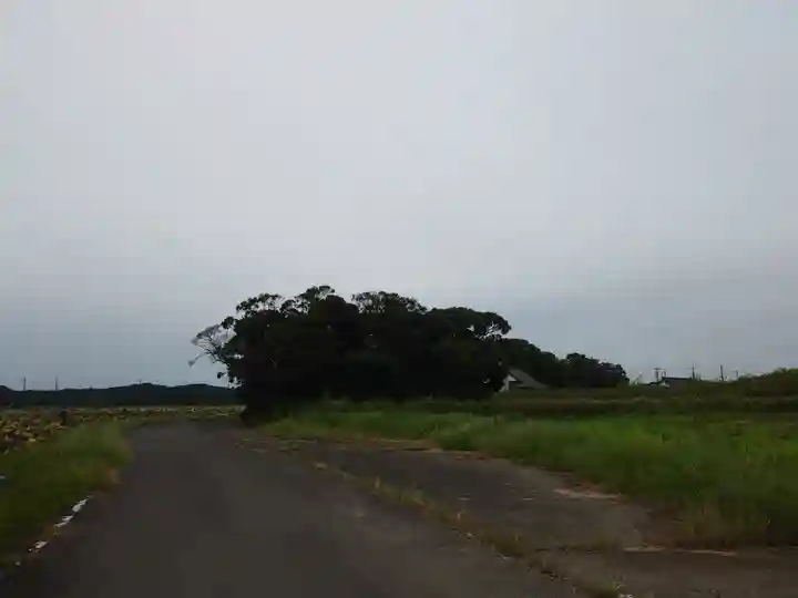 神社(名称不明)の景色