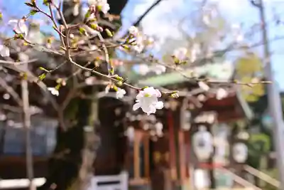 多田神社(東京都)