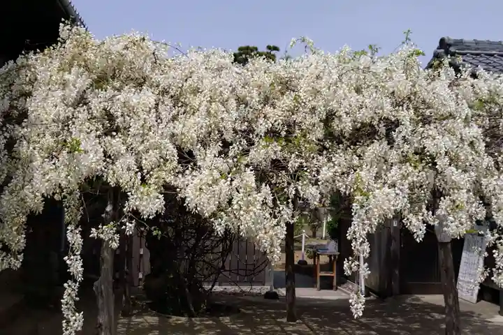 松應寺(愛知県)