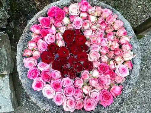 丹生都比売神社(和歌山県)