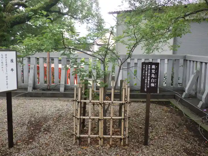 加納天満宮の自然