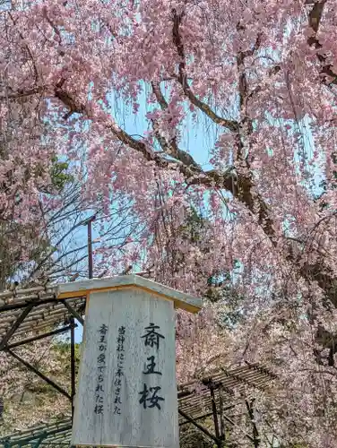 賀茂別雷神社（上賀茂神社）(京都府)