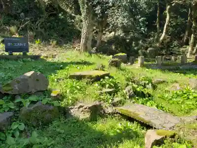 鹿嶋神社の自然