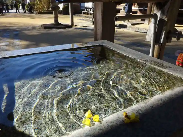 横浜 西方寺の手水舎