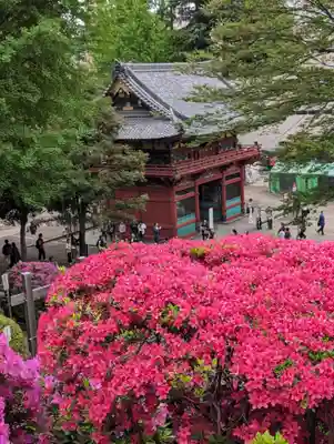 根津神社(東京都)