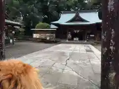 都萬神社の本殿