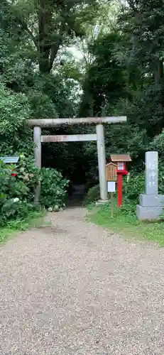 鷲宮神社の鳥居