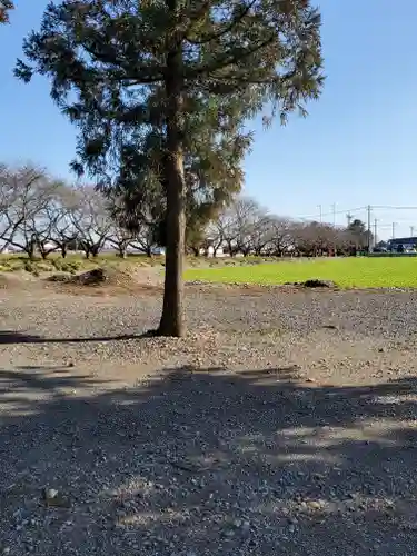 春日神社の自然