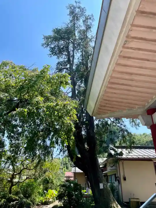 真福寺(神奈川県)