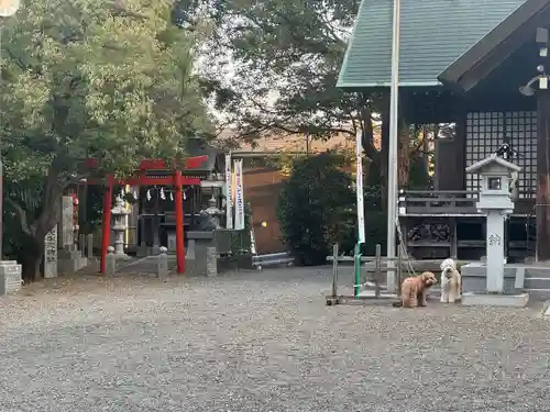 日吉神社(神奈川県)