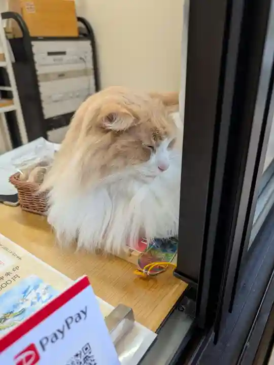 駒込妙義神社(東京都)