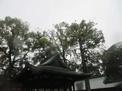 武蔵一宮氷川神社(埼玉県)