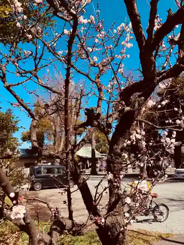 相模原氷川神社の庭園