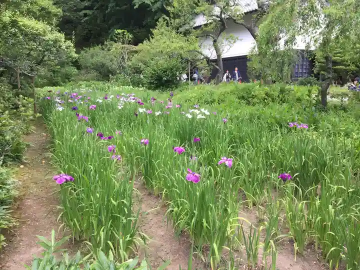 東慶寺(神奈川県)
