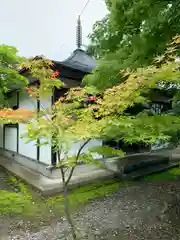 会津薬師寺の建物その他