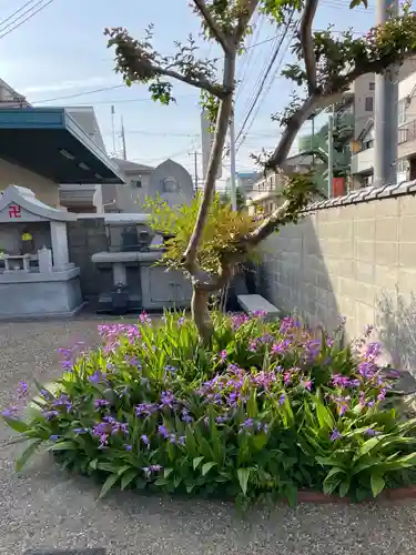 極楽寺(兵庫県)