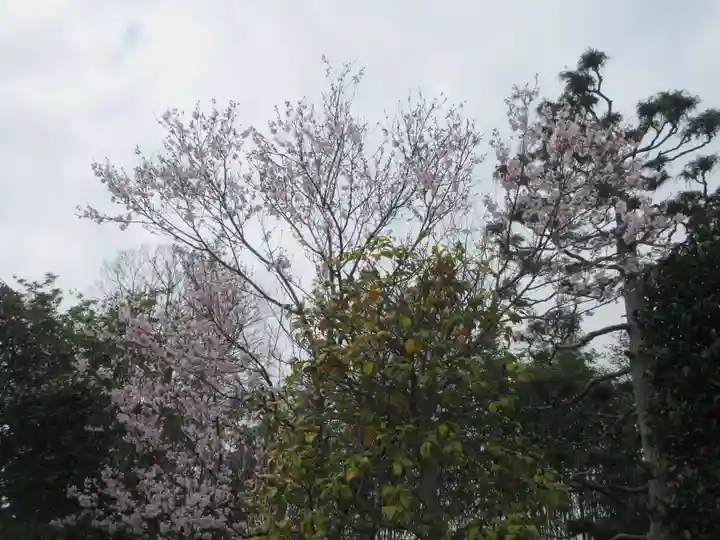 大乗院(神奈川県)