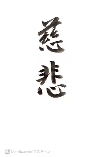 安住寺の御朱印 2017年05月