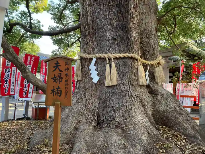 住吉大社の自然