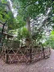 須佐神社(島根県)