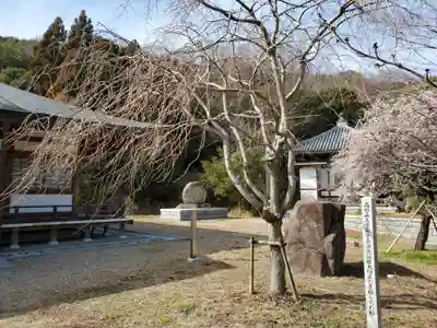 轉法輪寺のその他建物