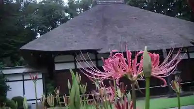 横浜　西方寺のその他建物