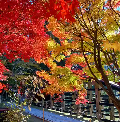 丹生都比売神社(和歌山県)