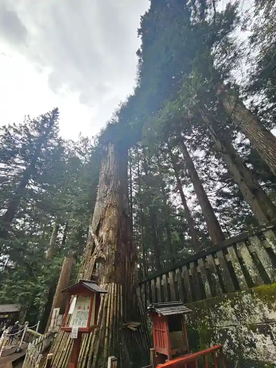 日光東照宮(栃木県)