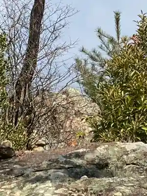 石上布都魂神社の{uncategorized: "未分類", other: "その他", undefined: "問題あり", building: "その他建物", grave: "お墓", sacred_gate: "鳥居", guardian: "狛犬", statue: "像", buddha: "仏像", history: "歴史", nature: "自然", garden: "庭園", animal: "動物", pagoda: "塔", temizu: "手水舎", mountain_gate: "山門・神門", sanctuary: "本殿・本堂", subordinate: "末社・摂社", art: "芸術", scenery: "景色", jizo: "地蔵", ema: "絵馬", goshuin: "御朱印", omikuji: "おみくじ", items: "授与品その他", amulet: "お守り", goshuincho: "御朱印帳", eats: "食事", festival: "お祭り", votive_dance: "神楽", shichigosan: "七五三参", wedding: "結婚式", experience: "体験その他", initially: "初詣", around: "周辺", anti_infection: "感染症対策"}