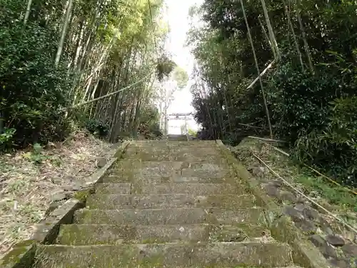 天手長男神社の自然