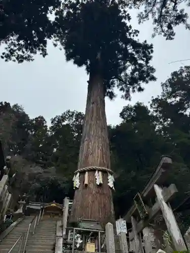 由岐神社の{uncategorized: "未分類", other: "その他", undefined: "問題あり", building: "その他建物", grave: "お墓", sacred_gate: "鳥居", guardian: "狛犬", statue: "像", buddha: "仏像", history: "歴史", nature: "自然", garden: "庭園", animal: "動物", pagoda: "塔", temizu: "手水舎", mountain_gate: "山門・神門", sanctuary: "本殿・本堂", subordinate: "末社・摂社", art: "芸術", scenery: "景色", jizo: "地蔵", ema: "絵馬", goshuin: "御朱印", omikuji: "おみくじ", items: "授与品その他", amulet: "お守り", goshuincho: "御朱印帳", eats: "食事", festival: "お祭り", votive_dance: "神楽", shichigosan: "七五三参", wedding: "結婚式", experience: "体験その他", initially: "初詣", around: "周辺", anti_infection: "感染症対策"}