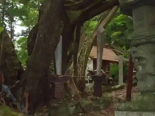 関口神社の塔