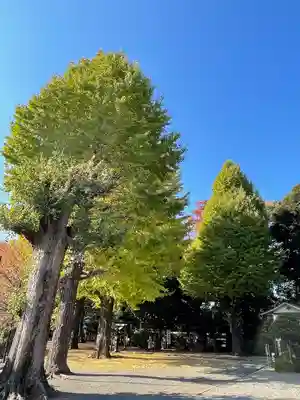 平塚神社(東京都)